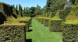 obrázek - Jardin du Manoir d'Eyrignac