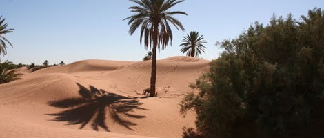 obrázek - Lac Yasmins