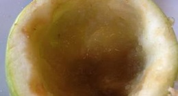 obrázek - An de tafel woar dat niet te vreten is!