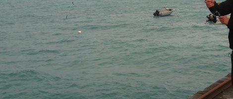 obrázek - Beachport