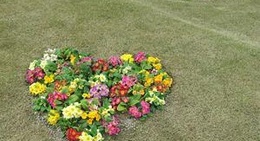 obrázek - リストランテ天空