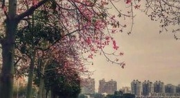 obrázek - 伴月湖 Banyue Lake