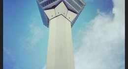 obrázek - Goryokaku Tower (五稜郭タワー)