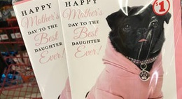 obrázek - Family Dollar