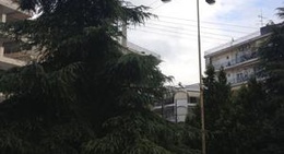 obrázek - 5 Δρομοι