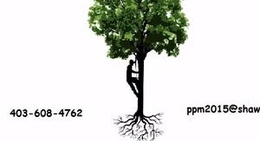 obrázek - Positive Pruning and Maintenance