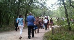 obrázek - American Players Theatre