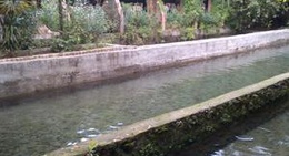 obrázek - Geyikbayiri Alabalik