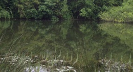 obrázek - Park Lime Pits Local Nature Reserve