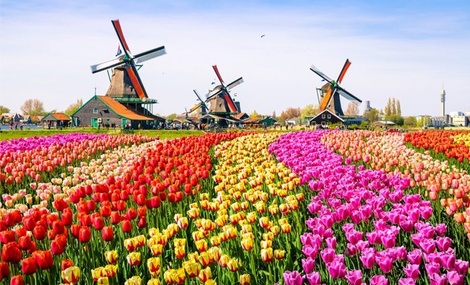 obrázek - 4denní poznávací zájezd do Holandska s