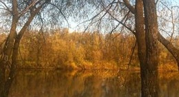 obrázek - Десна