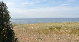 obrázek - Dirhami Kalakohvik