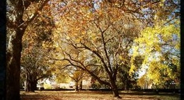 obrázek - Cook Park