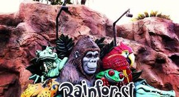 obrázek - Rainforest Café