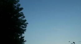 obrázek - Parcul Steaua Dunării