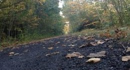 obrázek - Lehigh George State Park Northern Trail Head