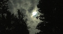 obrázek - Lake Ann, MI