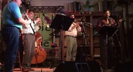 obrázek - Purple Fiddle