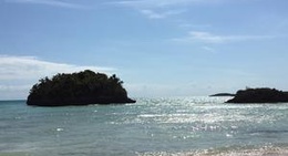 obrázek - South Palmetto Point