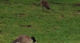 obrázek - Capital Region YMCA - Parkway Branch