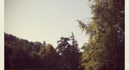 obrázek - Schlosspark