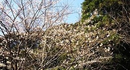 obrázek - 上谷池