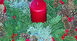 obrázek - Bitterroot Evergreens