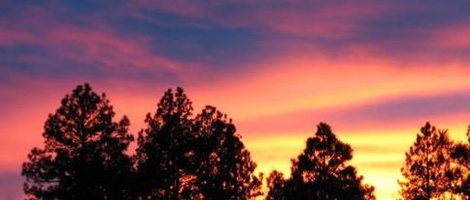 obrázek - Pinetop-Lakeside