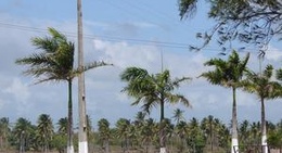 obrázek - Açude Bailarina