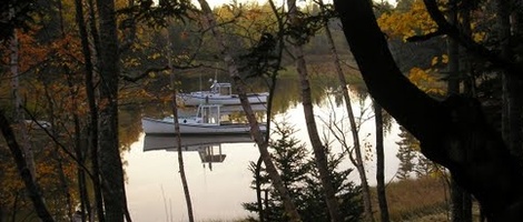 obrázek - Milbridge