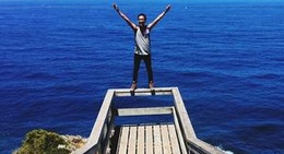 obrázek - Seal Colony