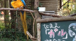 obrázek - のいち動物公園