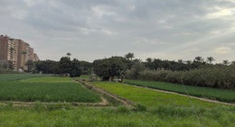 obrázek - Corniche El Hawamdeya (كورنيش الحوامدية)