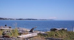 obrázek - Ocean Blvd