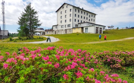 obrázek - Rakouské Alpy: léto v Hotelu Berghof