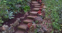 obrázek - Wildwood Retreat