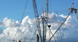 obrázek - Apalachicola Riverfront Park