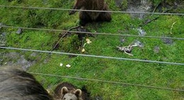 obrázek - Bjørneparken