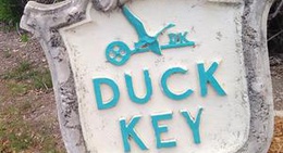 obrázek - Duck Key