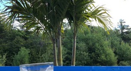 obrázek - Snow Republic Brewery