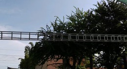 obrázek - El Zarape