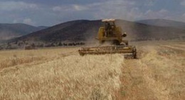 obrázek - Havuzlu Kahve