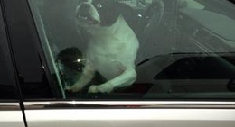 obrázek - Quality Foods IGA