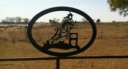 obrázek - Redding Racing