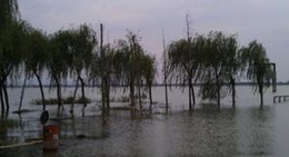 obrázek - 固城湖