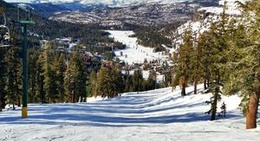 obrázek - #11 The Reut