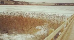 obrázek - Saldus Ezers