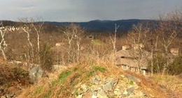 obrázek - Smoky's Black Bear Cafe