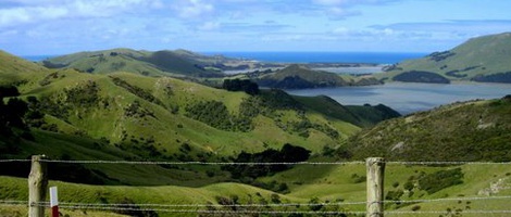 obrázek - Portobello