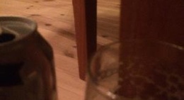 obrázek - Fugl Fønix Hotel